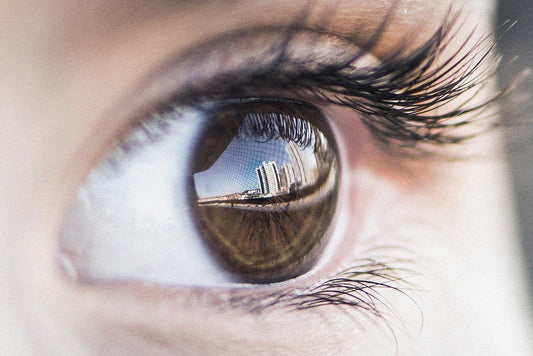 The Influence of Heavy Metal Toxicity on Your Vision