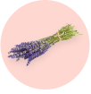 Lavender Oil