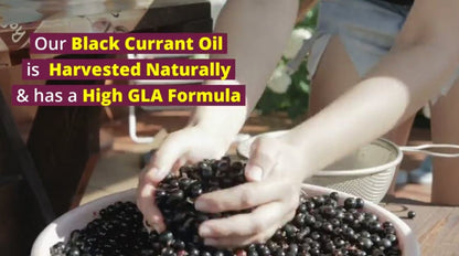 Black Currant Seed Oil (for menstrual relief)